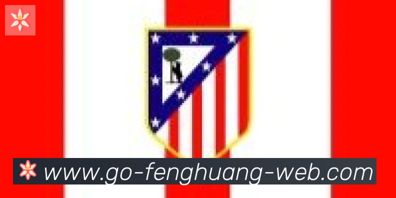 凤凰体育合作伙伴